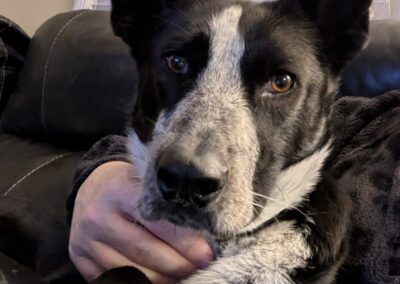 Lucy